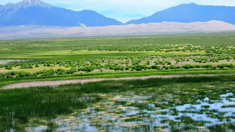 The wetland at South Twin Lake in Great Sand Dunes National Park and Preserve, with the dunes and mountains beyond