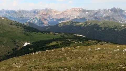 Forest giving way to open tundra on the slopes along Trail Ridge Road in Rocky Mountain National Park