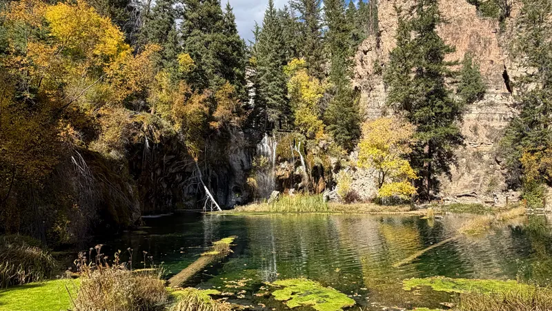 Bridal Veil Falls spilling over a mossy travertine ledge into Hanging Lake, with fallen logs and green algae mats in the foreground.