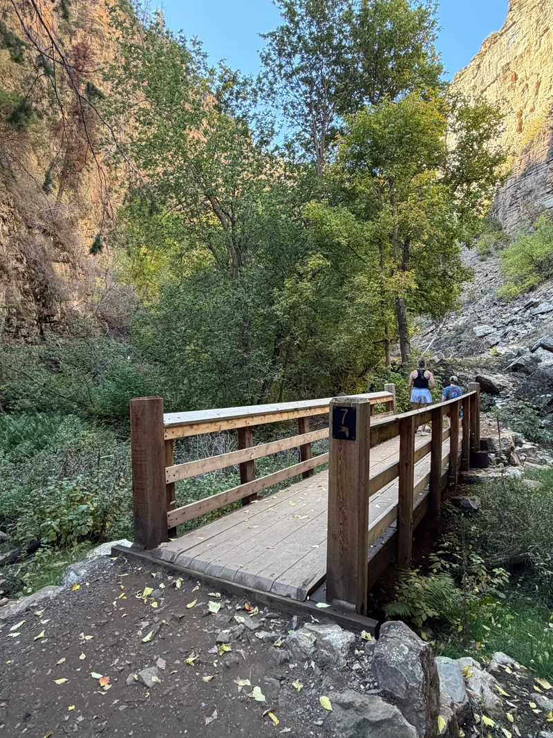A new wooden footbridge marked number 7 crossing Deadhorse Creek under early fall cottonwoods.