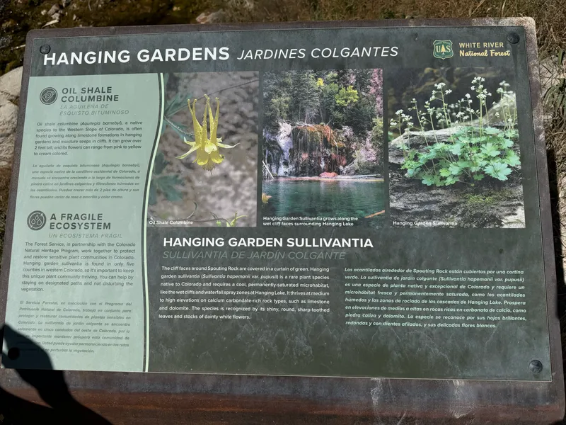 Interpretive sign about the hanging garden plants at Hanging Lake, showing oil shale columbine and hanging garden sullivantia.